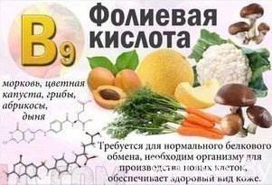 dejstvie-vitamina-B9