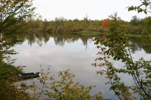 река Березина осенью
