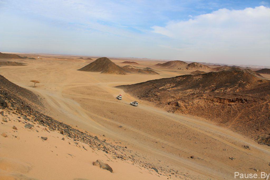 Safari v pustyne Yegipta.jpg