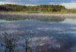 Отражение облаков и леса в озере.jpg