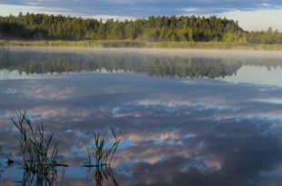 Отражение облаков и леса в озере.jpg