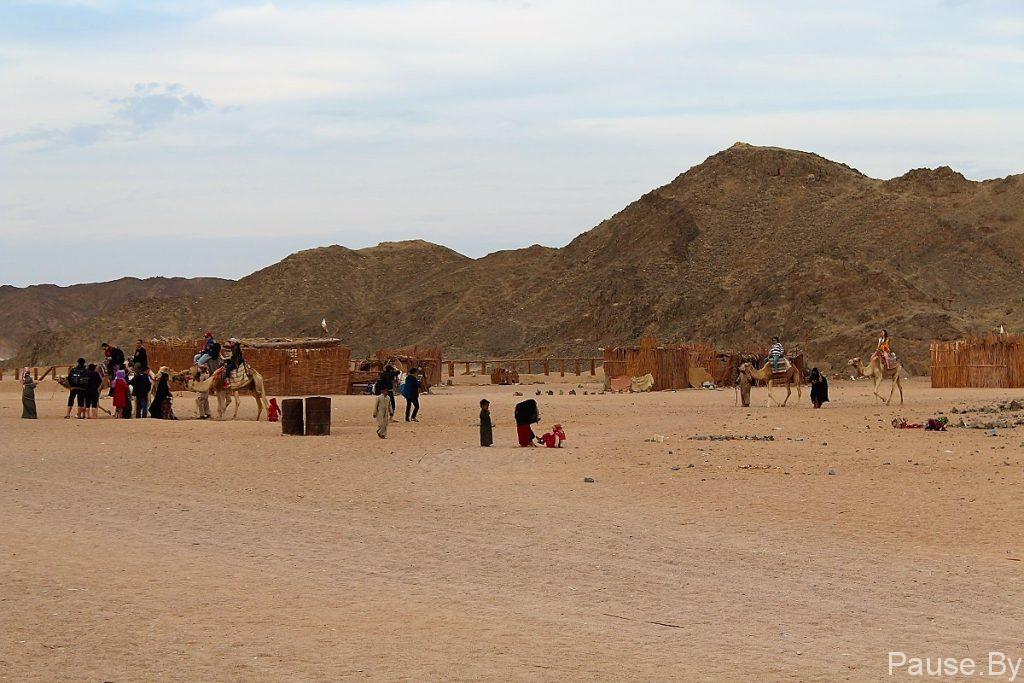 Деревня бедуинов в Египте, катание на верблюдах.jpg